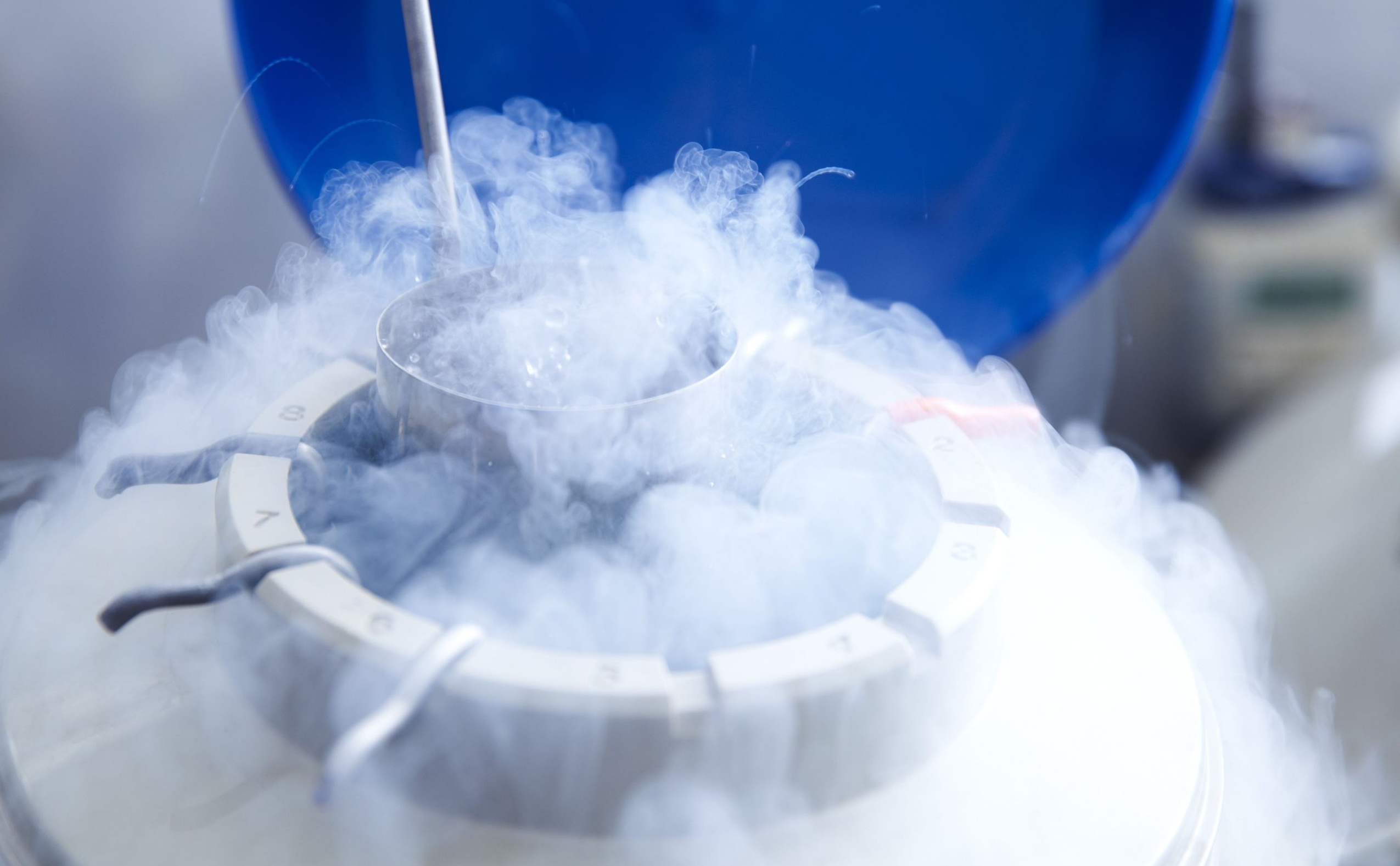 Embryo Vitrification